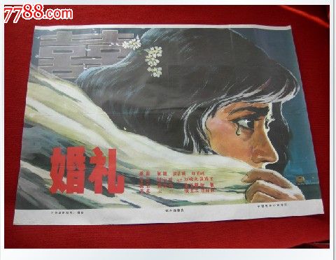 缅因州驾驶证作假